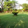 Beautiful Bushes at Park In Meerut